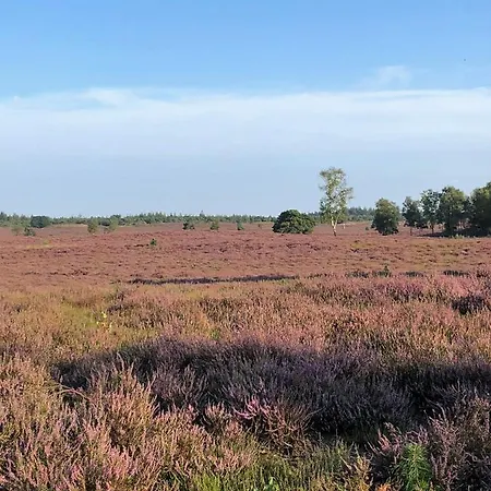 Onderderietenkap 3* Heerde