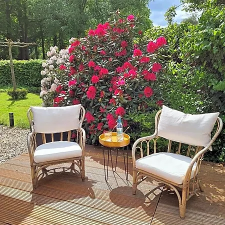 Onderderietenkap 3* Heerde