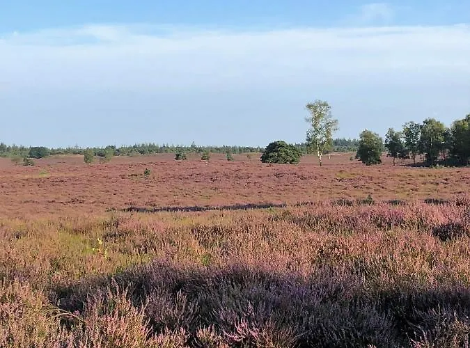 Onderderietenkap 3* Heerde