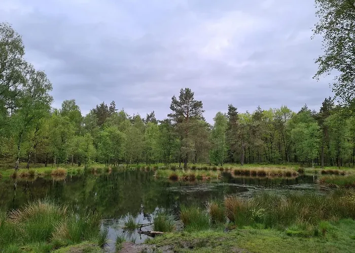 Bed and Breakfast Onderderietenkap 3*