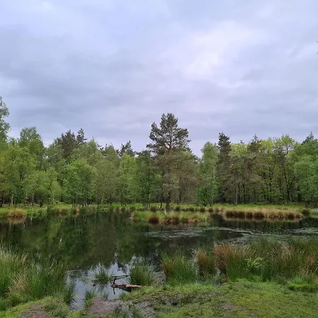 Bed and breakfast Onderderietenkap 3*